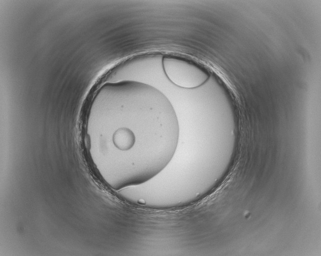 X0000115190832200911181446