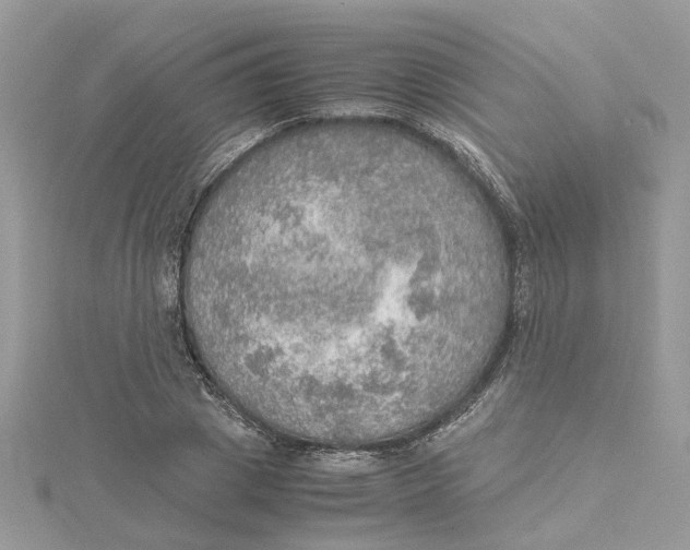 X0000115190833200911181446