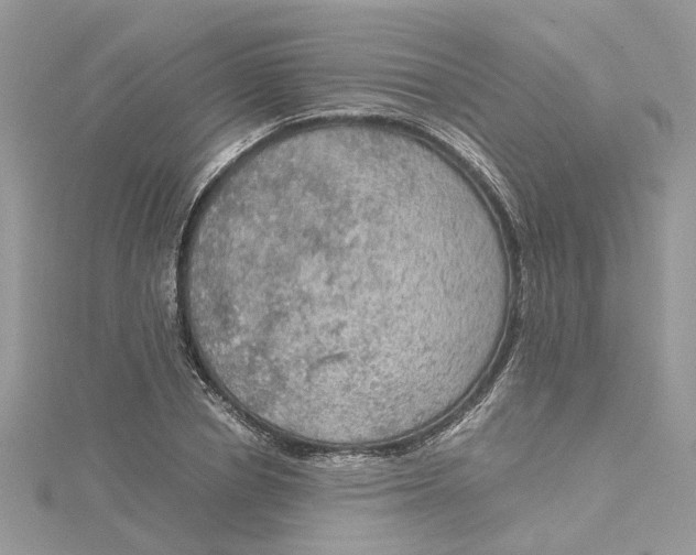 X0000115190834200911181446