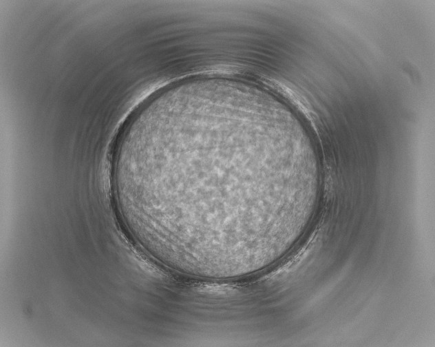 X0000115190835200911181446