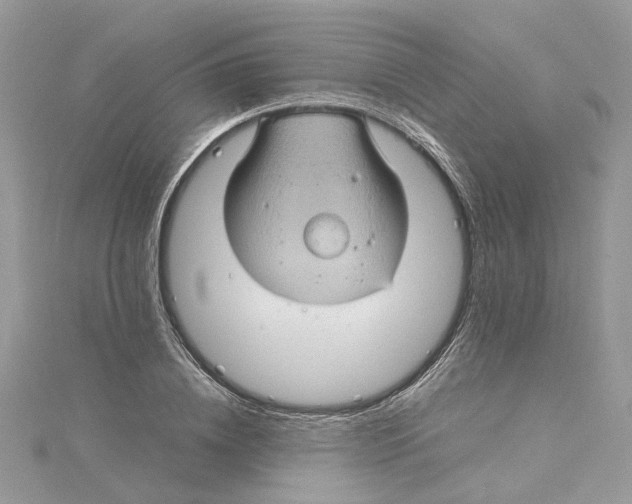 X0000115190836200911181446