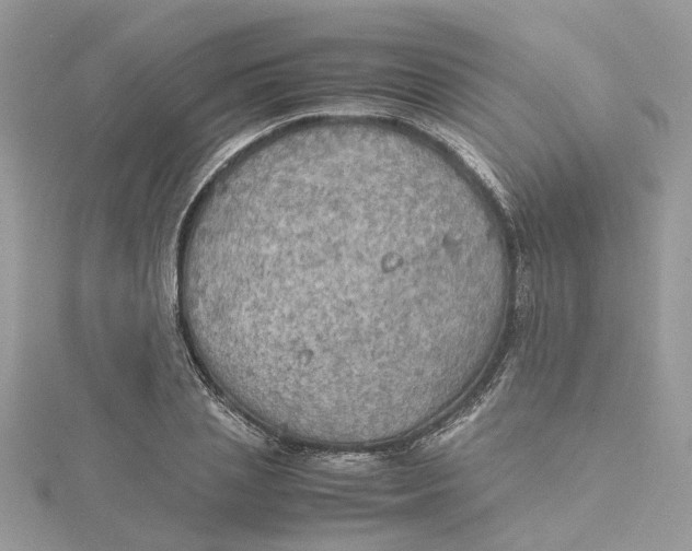 X0000115190837200911181446