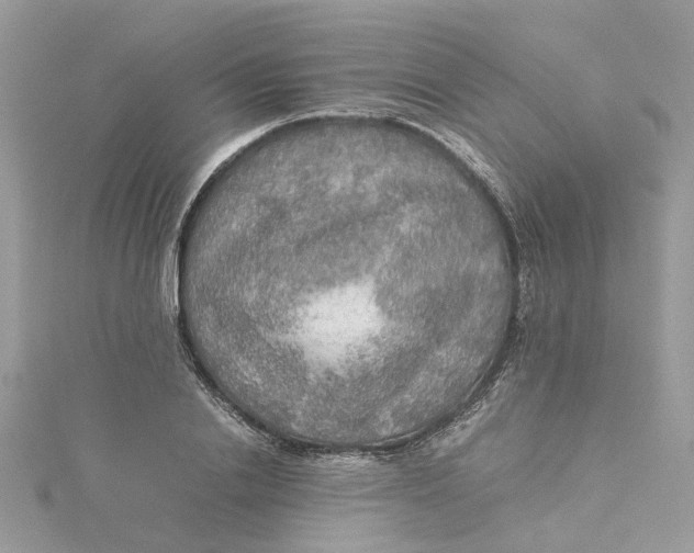 X0000115190838200911181446