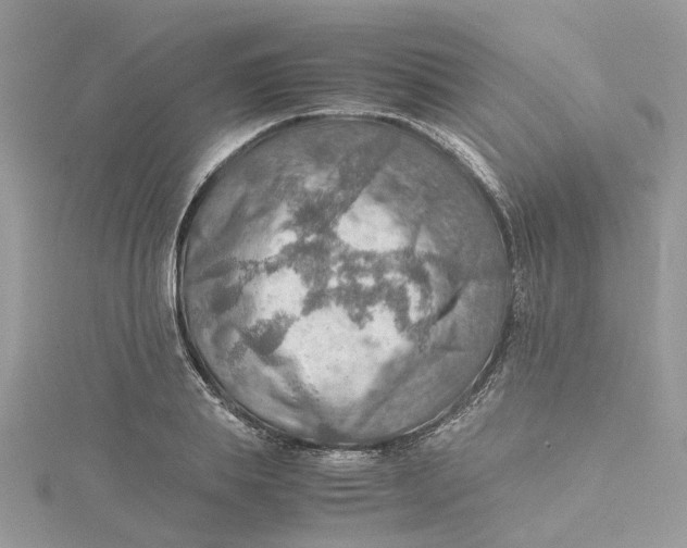 X0000115190839200911181446