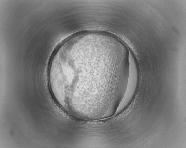 X0000115190840200911181446