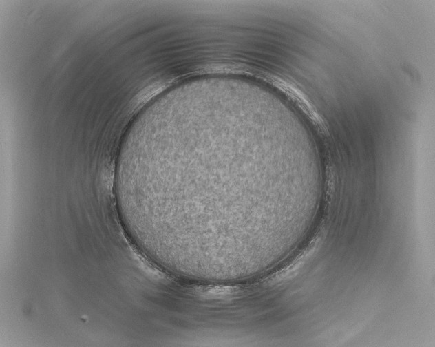 X0000115190841200911181446