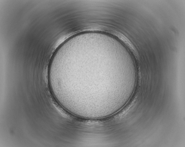 X0000115190842200911181446