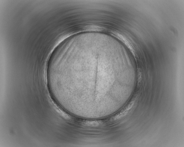 X0000115190843200911181446