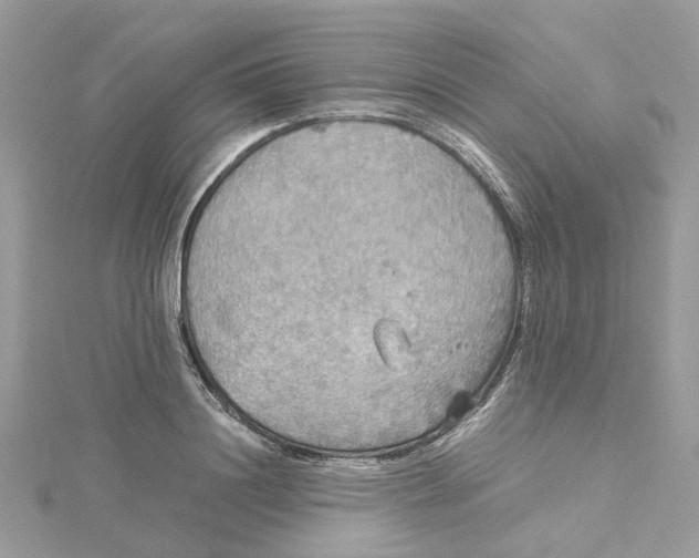 X0000115190844200911181446