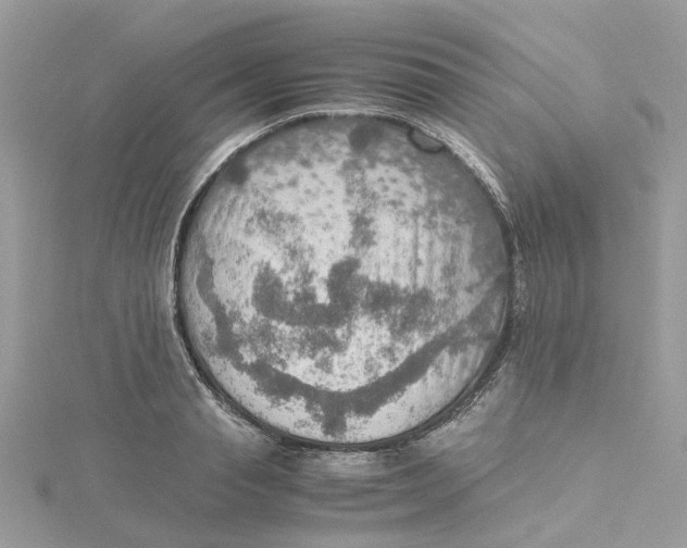 X0000115190845200911181446