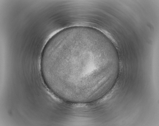 X0000115190846200911181446