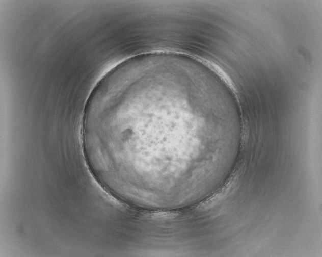 X0000115190847200911181446