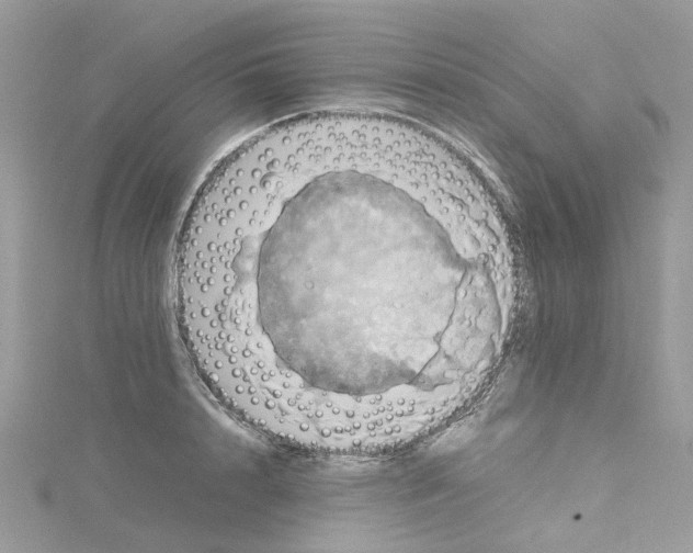 X0000115190848200911181446