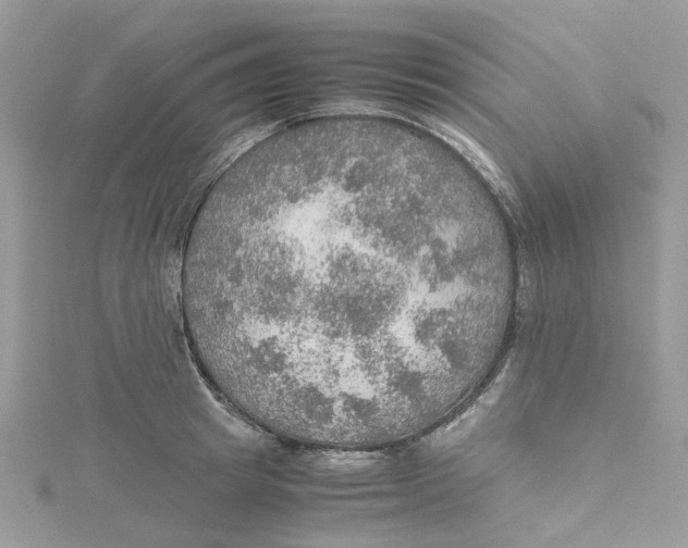 X0000115190849200911181446