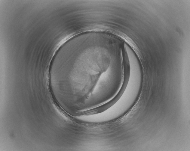 X0000115190850200911181446