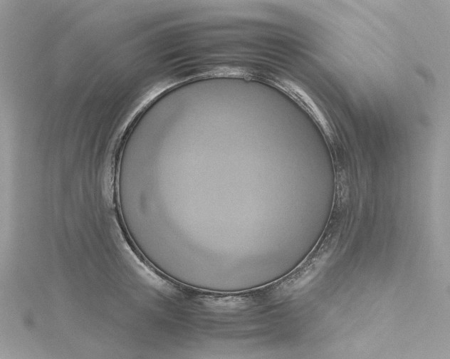 X0000115190851200911181446