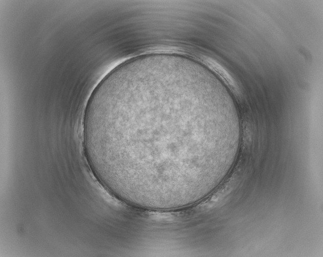 X0000115190852200911181446