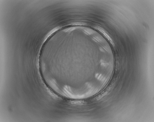 X0000115190853200911181446