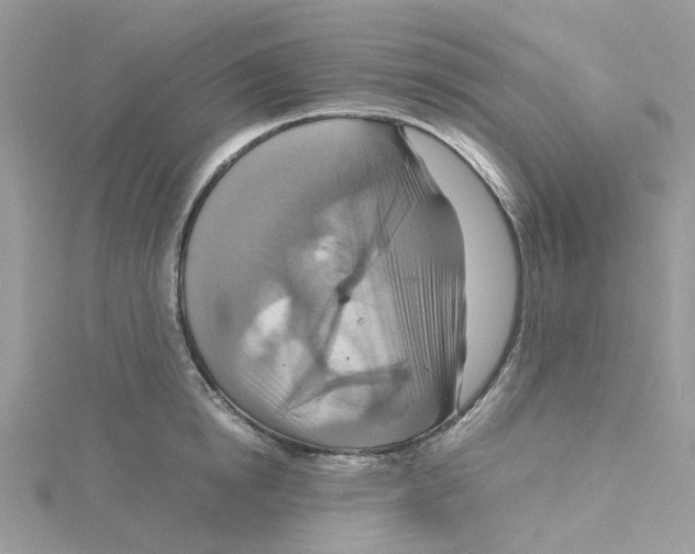 X0000115190854200911181446