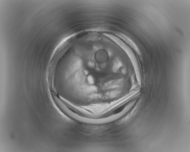 X0000115190855200911181446