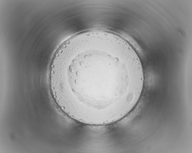 X0000115190856200911181446