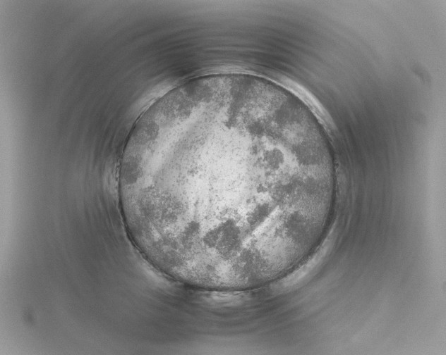 X0000115190857200911181446