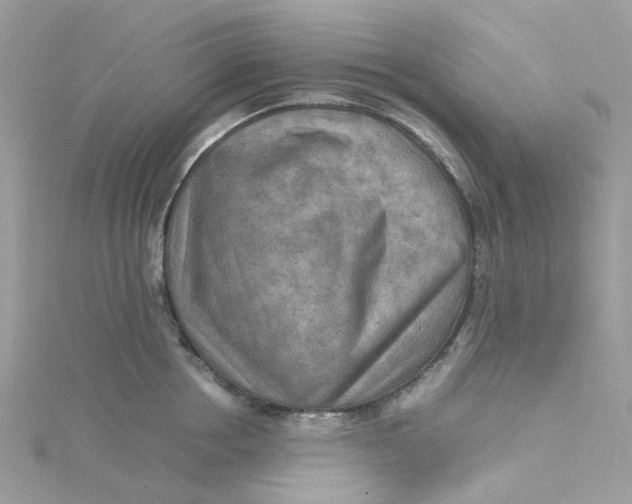 X0000115190858200911181446