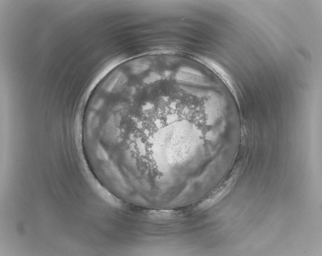 X0000115190859200911181446