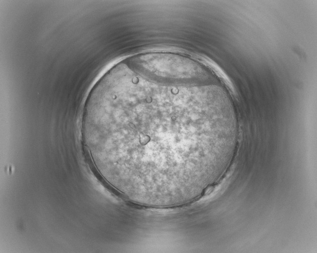 X0000115190860200911181446