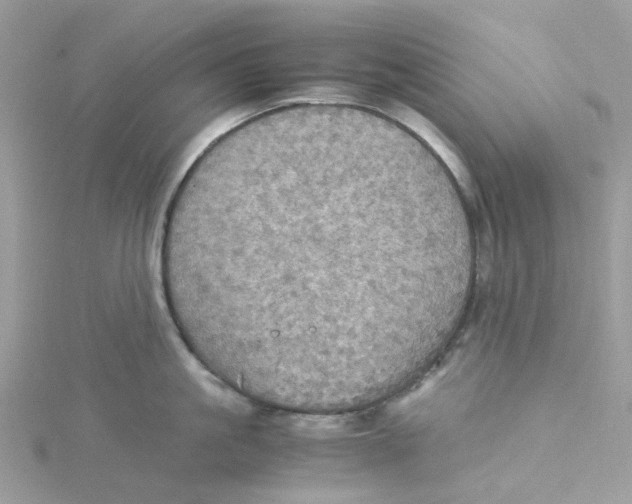 X0000115190861200911181447