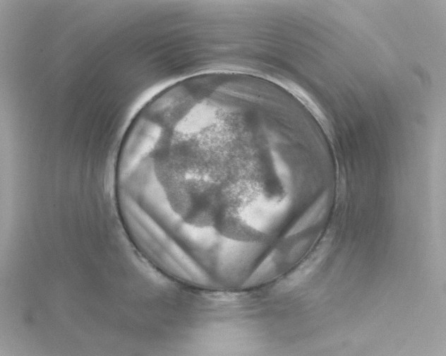 X0000115190862200911181447