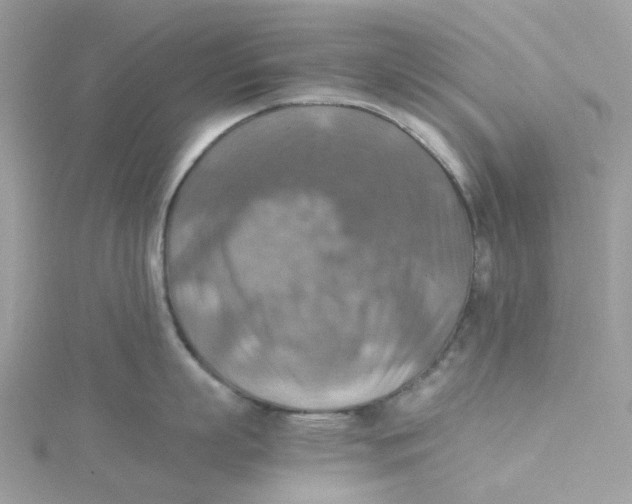 X0000115190863200911181447