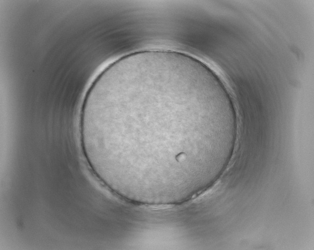 X0000115190864200911181447