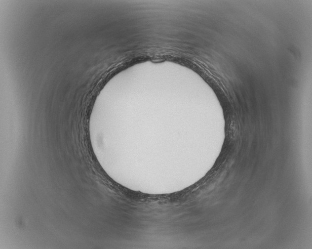 X0000115190865200911181446