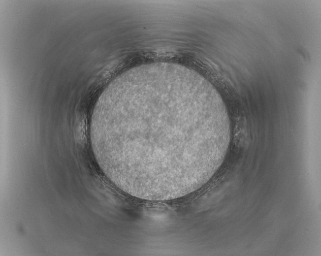 X0000115190866200911181446