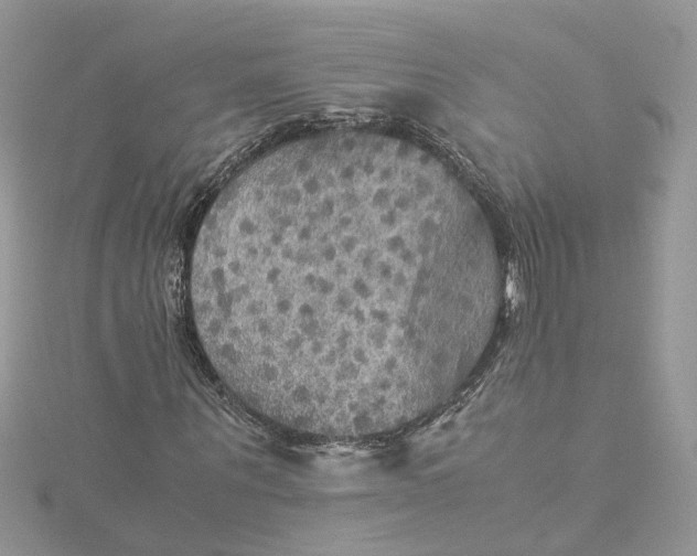 X0000115190867200911181446