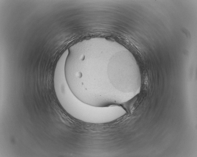 X0000115190868200911181446