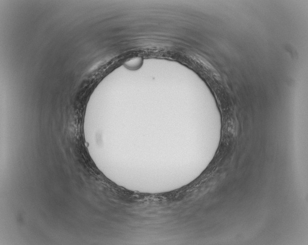 X0000115190869200911181446