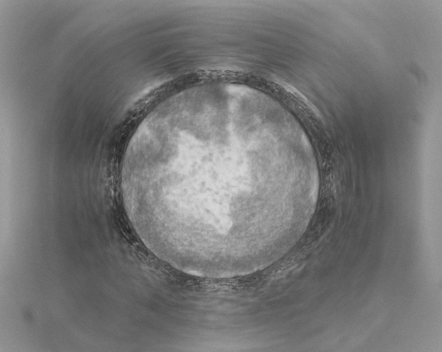 X0000115190870200911181446