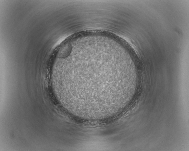 X0000115190871200911181446