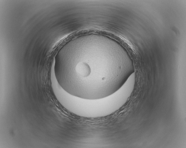 X0000115190872200911181446