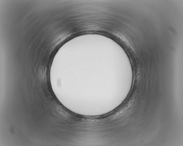 X0000115190873200911181446