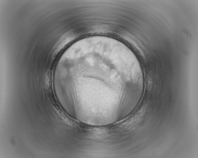 X0000115190874200911181446