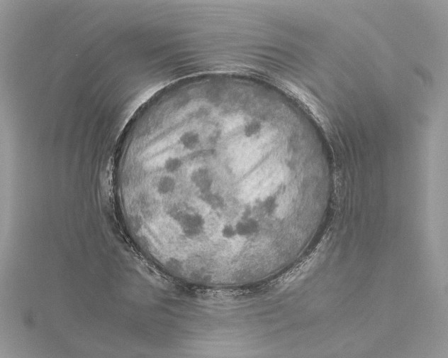 X0000115190875200911181446