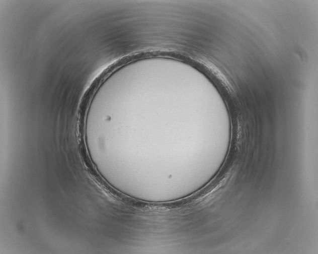 X0000115190878200911181446