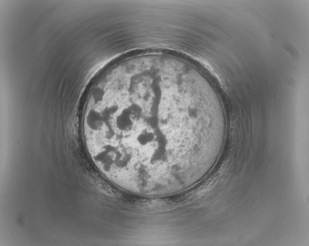 X0000115190879200911181446