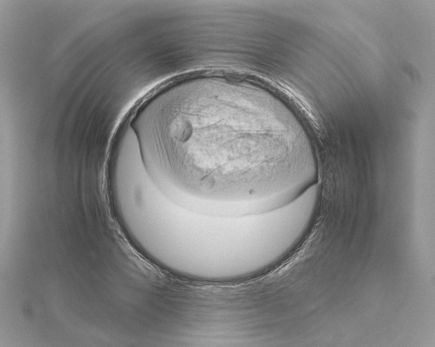 X0000115190880200911181446