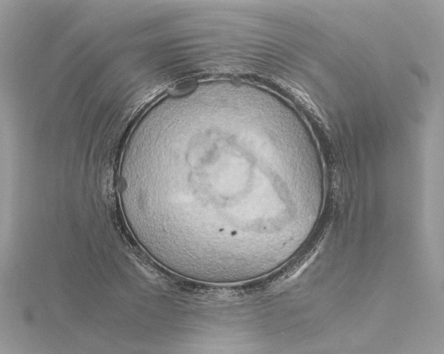 X0000115190881200911181446