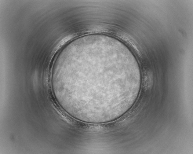 X0000115190882200911181446