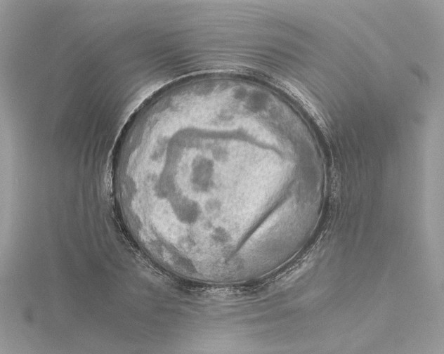 X0000115190883200911181446